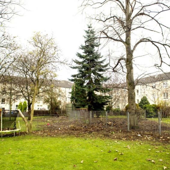 Wheatley are planting trees in their communities