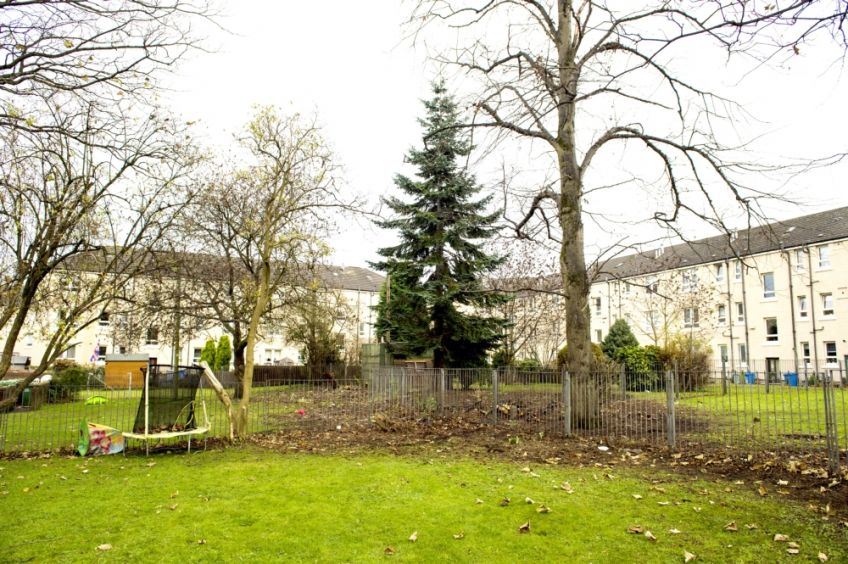 Wheatley are planting trees in their communities