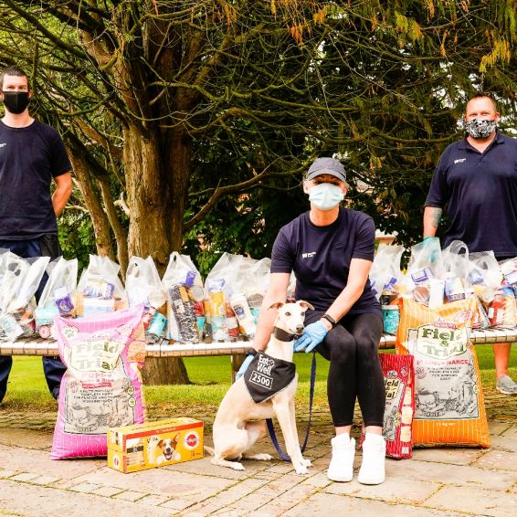 Olly the dog helps mark 25000 EatWell parcels
