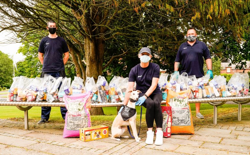 Olly the dog helps mark 25000 EatWell parcels